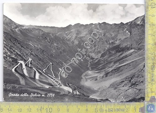 Cartolina - Postcard - Strada dello Stelvio - anni '50