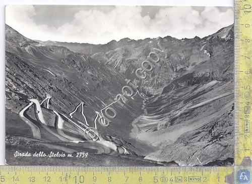 Cartolina - Postcard - Strada dello Stelvio - anni '50