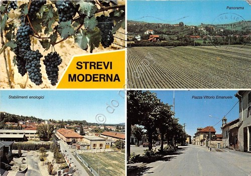 Cartolina - Postcard - Strevi Moderna - Vedutine - 1961 …