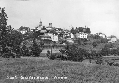 Cartolina - Postcard - Tagliolo - Zona dei vini - …