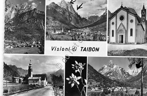 Cartolina - Postcard - Taibon - Vedutine - panorama - …