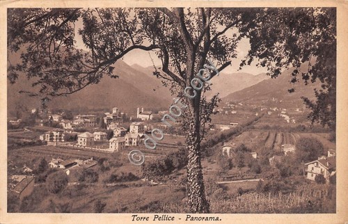 Cartolina - Postcard - Torre Pellice Panorama anni '30