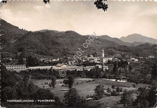 Cartolina - Postcard - Torrebelvicino - Panorama - 1956