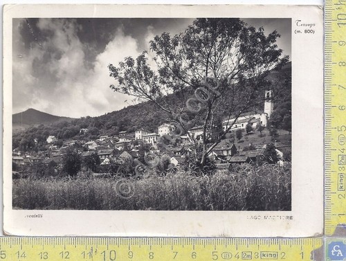 Cartolina - Postcard - Trarego - Panorama - 1950