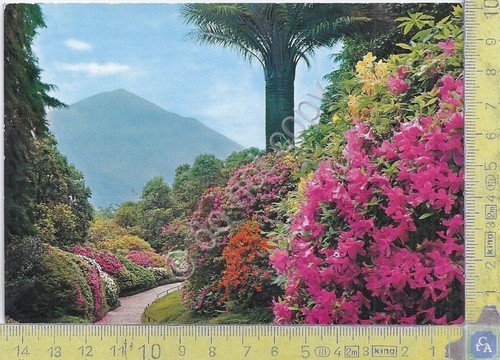 Cartolina - Postcard - Tremezzo - Villa Carlotta - Fioritura …
