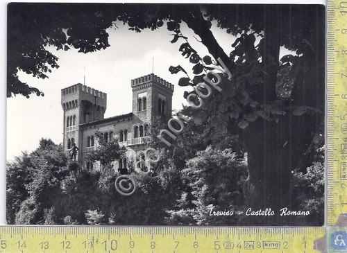 Cartolina - Postcard - Treviso - Castello Romano - 1959