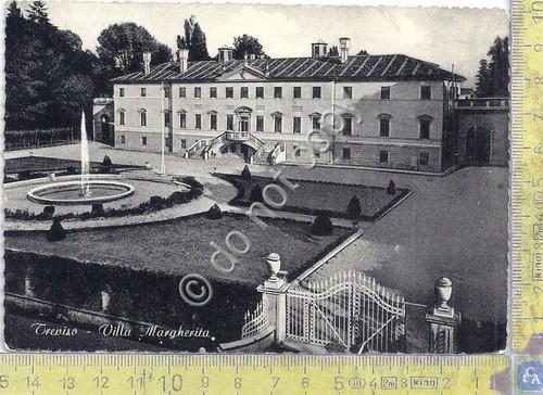 Cartolina - Postcard - Treviso - Villa Margherita - 1954