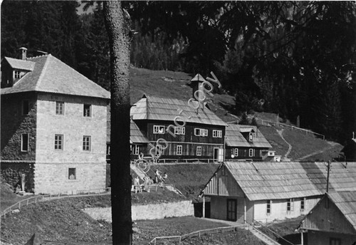 Cartolina - Postcard - Ugovizza - Villaggio Alpino di Monte …