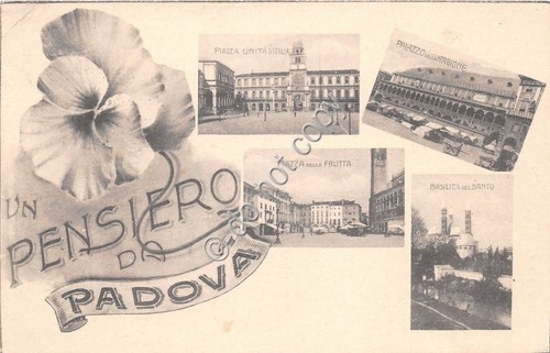 Cartolina - Postcard - Un pensiero da - Padova - …