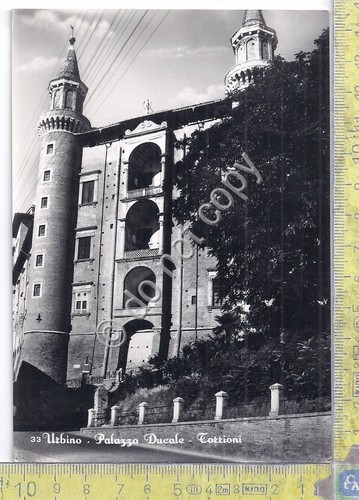 Cartolina - Postcard - Urbino - Palazzo Ducale - Torrioni …