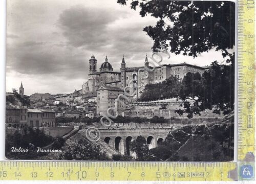 Cartolina - Postcard - Urbino - Panorama - 1950