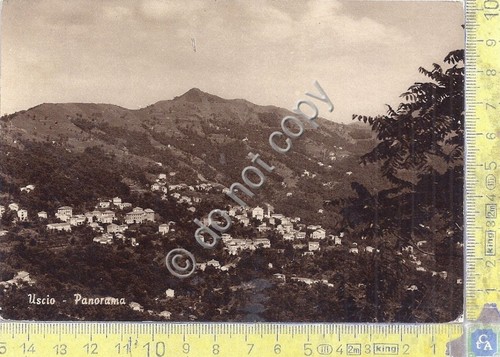 Cartolina - Postcard - Uscio - Panorama - 1969