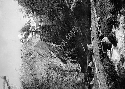 Cartolina - Postcard - Valle Gimont - Panorama - 1955