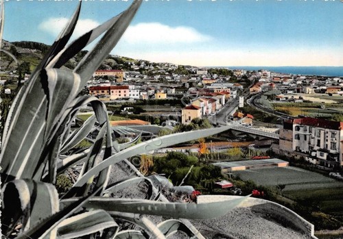 Cartolina - Postcard - Vallecrosia - Panorama - 1957