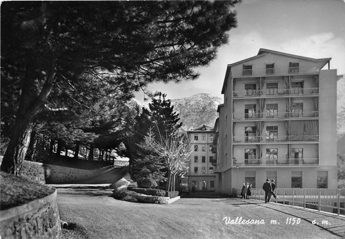 Cartolina - Postcard - Vallesana - Panorama via interna - …