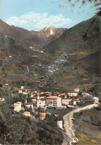 Cartolina - Postcard - Valnegra - Panorama - 1966