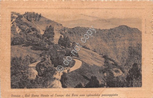 Cartolina - Postcard - Varese - Panorama - 1951