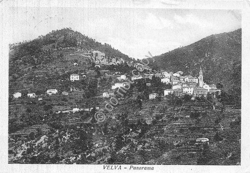 Cartolina - Postcard - Velva - Panorama - 1958