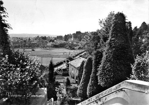 Cartolina - Postcard - Venegono - Panorama - 1959