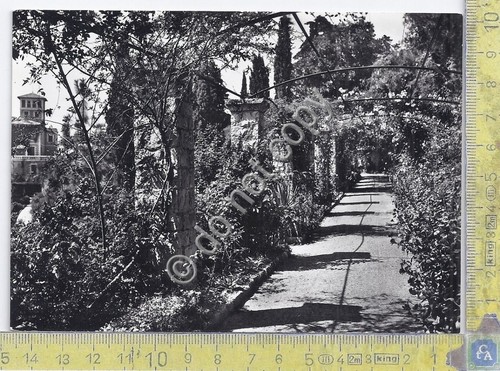 Cartolina - Postcard - Ventimiglia - La Mortola - Pergola …