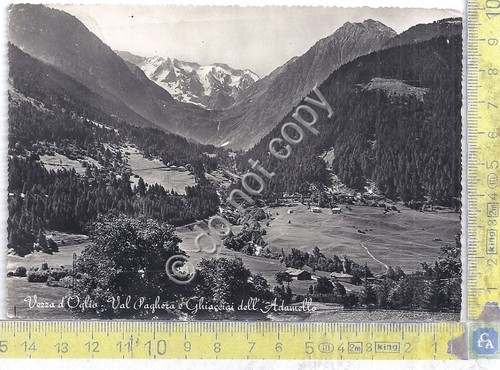Cartolina - Postcard - Vezza d'Oglio - Panorama - 1959