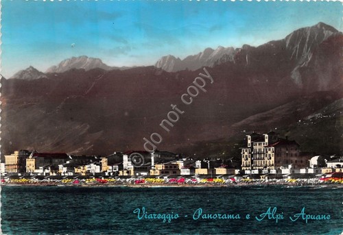 Cartolina - Postcard - Viareggio - Panorama - Alpi Apuane …