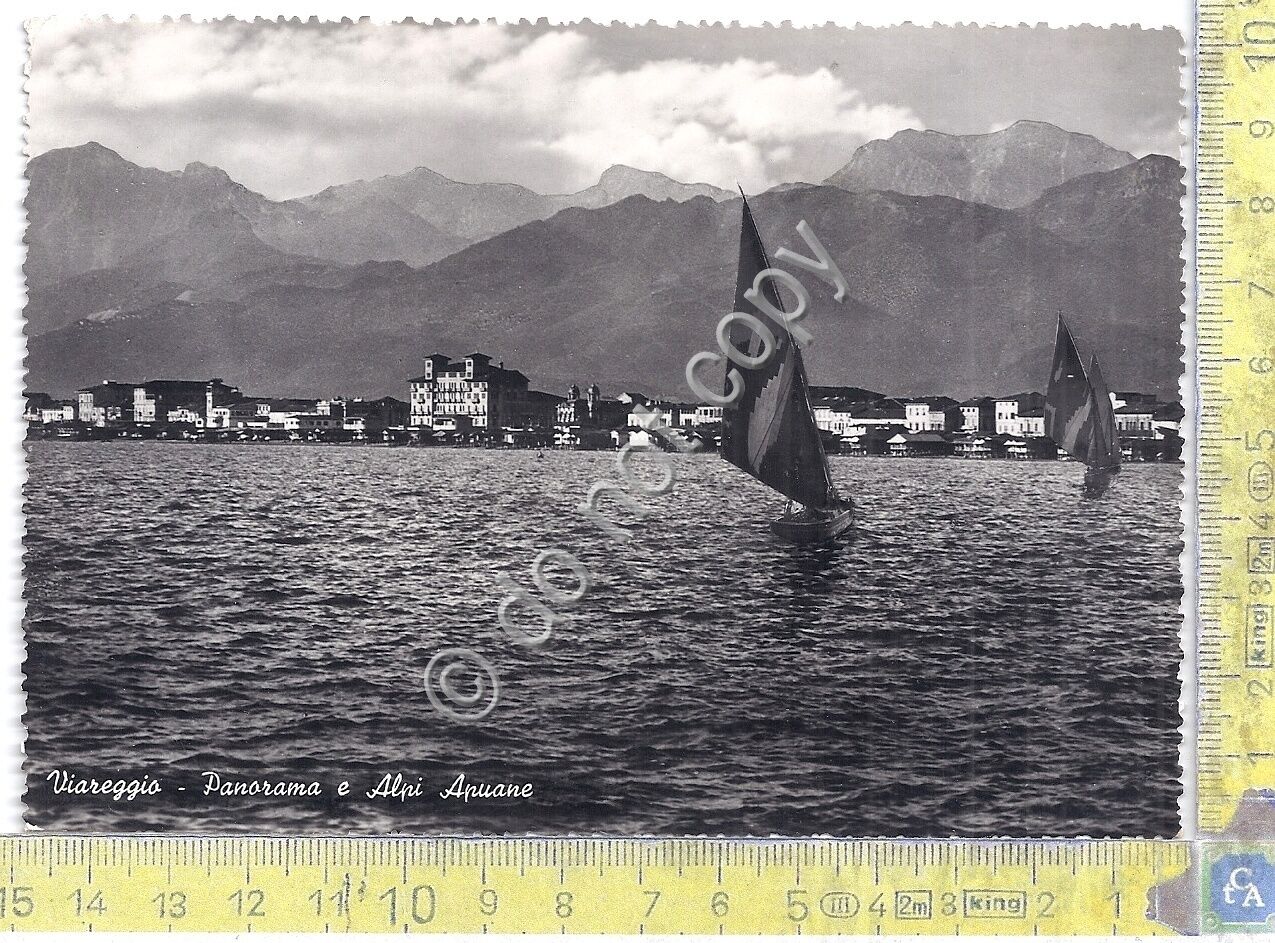 Cartolina - Postcard - Viareggio - Panorama - Alpi Apuane …