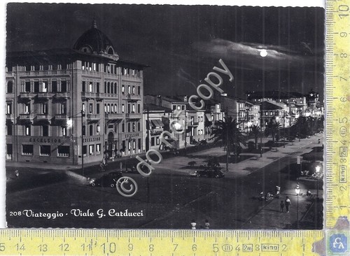 Cartolina - Postcard - Viareggio - Viale Carducci - notturno …