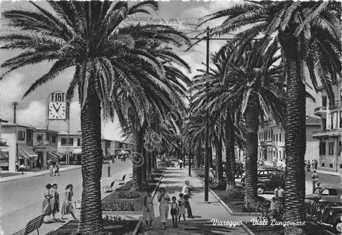 Cartolina - Postcard - Viareggio - Viale Lungomare - animata …