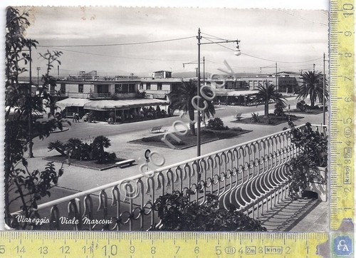 Cartolina - Postcard - Viareggio - Viale Marconi - 1952