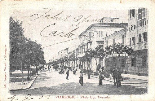 Cartolina - Postcard - Viareggio via Ugo Foscolo animata 1903 …