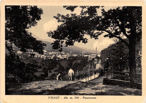 Cartolina - Postcard - Viggiù - Panorama - animata - …