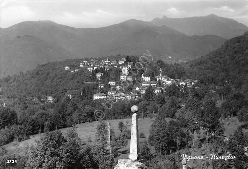Cartolina - Postcard - Vignone - Bureglio - Panorama