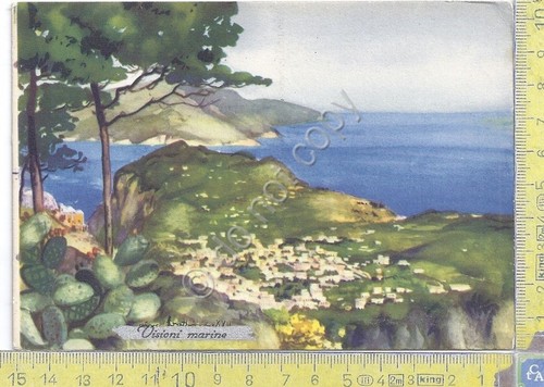 Cartolina - Postcard - Visioni Marine - Costa con paese