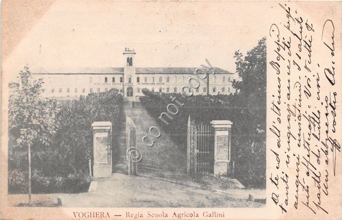 Cartolina - Postcard - Voghera - Regia Scuola Agricola Gallini …