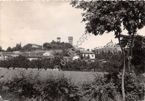 Cartolina - Postcard - Volta Mantovana - Panorama - 1950