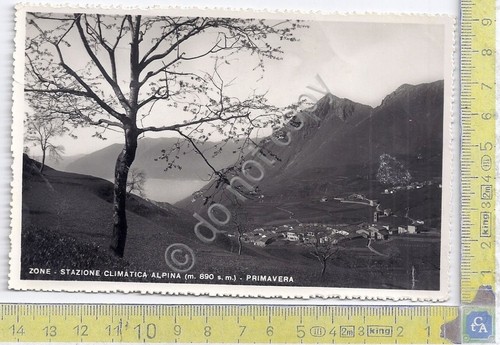 Cartolina - Postcard - Zone - Panorama - 1952