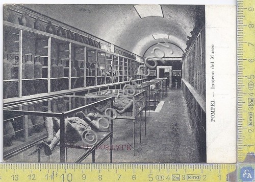Cartolina - Postcard -Pompei - Interno Museo - anni '40 …