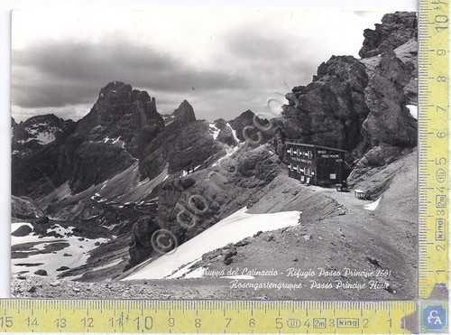 Cartolina - Postcard- Trento - Rifugio Passo Principe - Timbro …