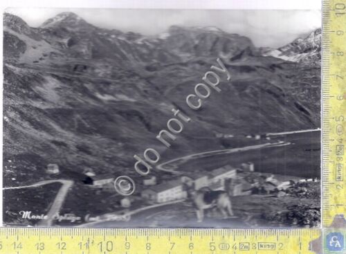 Cartolina - Postcard Monte Spluga Panorama anni '60