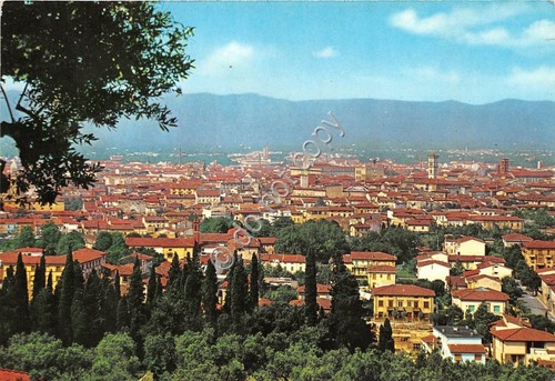 Cartolina - Prato Panorama