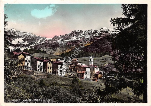 Cartolina - Primolo Valmalenco panorama 1956
