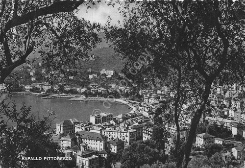 Cartolina - Rapallo - panorama dall'alto - 1951