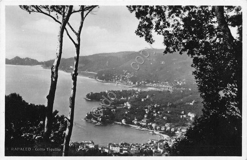 Cartolina - Rapallo - Panorama dall'alto - NVG