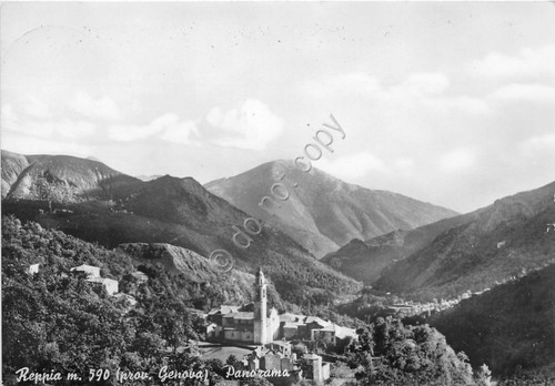 Cartolina - Reppia - Panorama - 1955