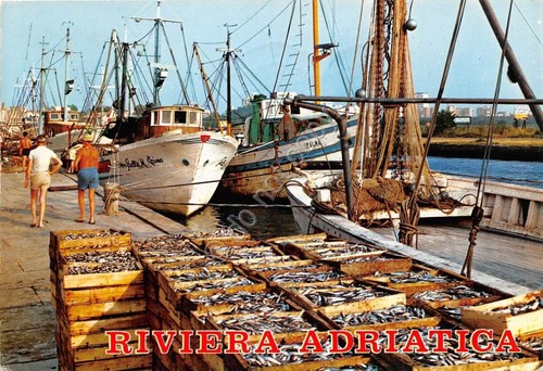 Cartolina - Riccione ? Riviera Adriatica - Porto - Pescherecci …
