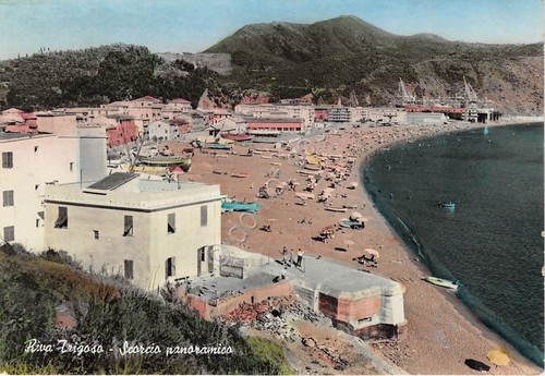 Cartolina - Riva Trigoso - Scorcio Panoramico - NVG