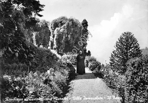 Cartolina - Ronchiano di Castelveccana Villa Immacolata Frate
