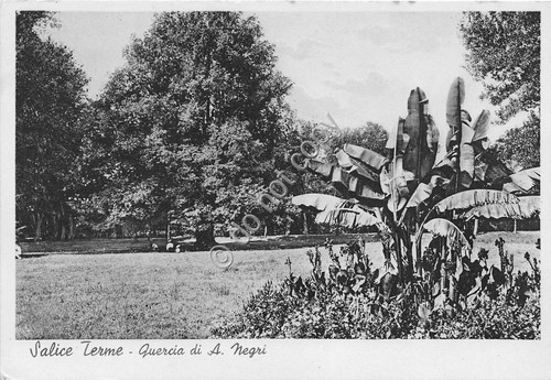 Cartolina - Salice Terme Quercia di Ada Negri