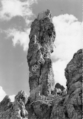 Cartolina - Salsiccia di Francoforte 1951